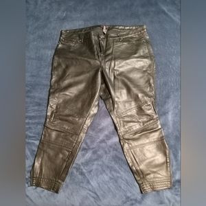 Rebel For Torrid Moto Pants